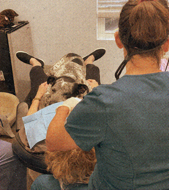 Jane Otto Family Dentistry